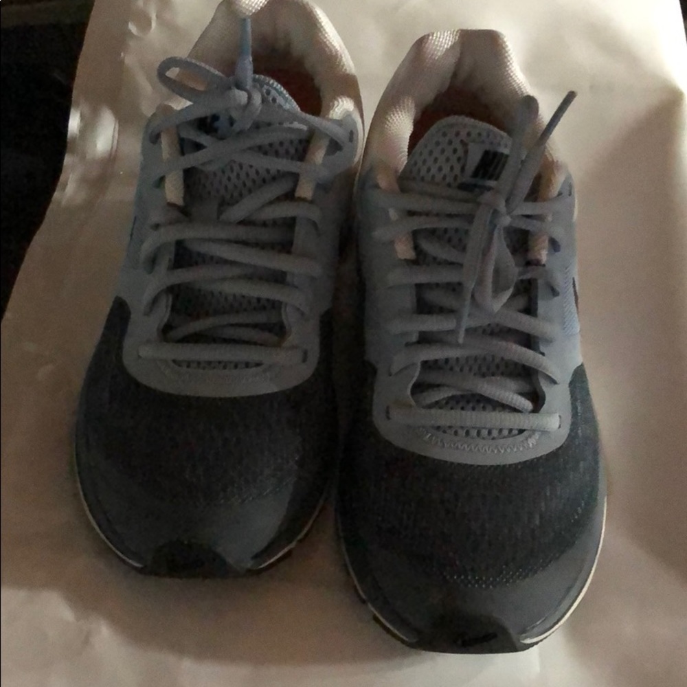 Nike Pegasus 30